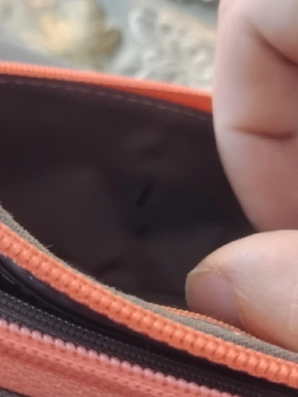 Fossil compact zip